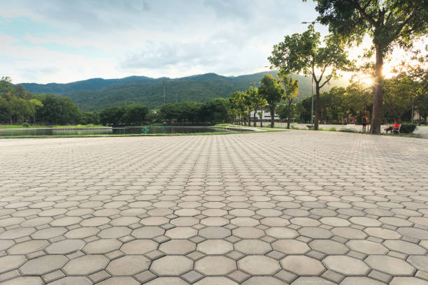 Residential Paver Driveway in Dock Junction, GA
